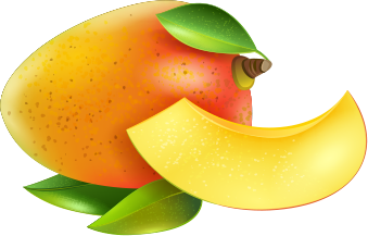 p1.png